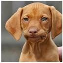 Kevin Teal - @teal_kevin - Twitter