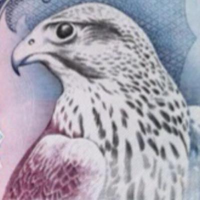 فإما أن تنطق بعلم وإما أن تسكت بحلم