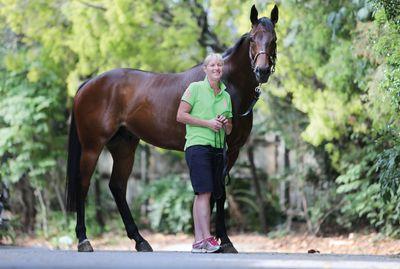 meleitch's profile picture. Horse Trainer