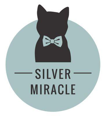 Gigolo_The_Cat's profile picture. british shorthair( silver and golden tipped) cattery.