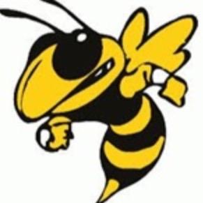 YHSDailyBuzz's profile picture. Follow for YHS updates • Log into your focus and check out the Yulee Stinger Newspaper • Add us on snapchat- yhsdailybuzz • #FeelTheSting