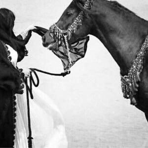 الله ثم المليك والوطن .. جمعت الضدين شموخ البدو وعزّ الحضر .. فعشقت الخيل وقرأت بشغف ،، متذوقه للشعر ،، عذرا الخاص مهمل ...