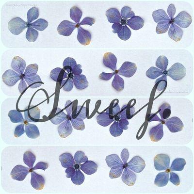 Ons almal soek 'n plek om te Sweef na vryheid. ♡