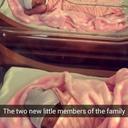 Christian Duarte - @chris_duarte05 - Twitter