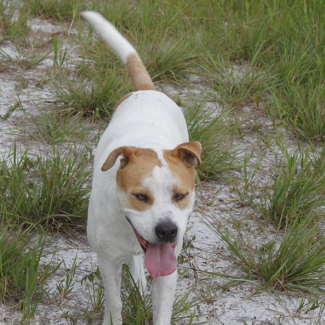 codfish2812's profile picture. 