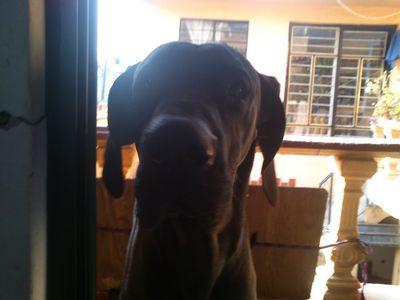 AzEscamilla's profile picture. 