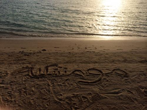 Lama___'s profile picture. Ocean Minded