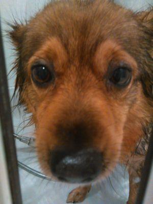 zeldahall1983's profile picture. 