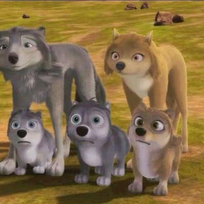 ale19775's profile picture. 