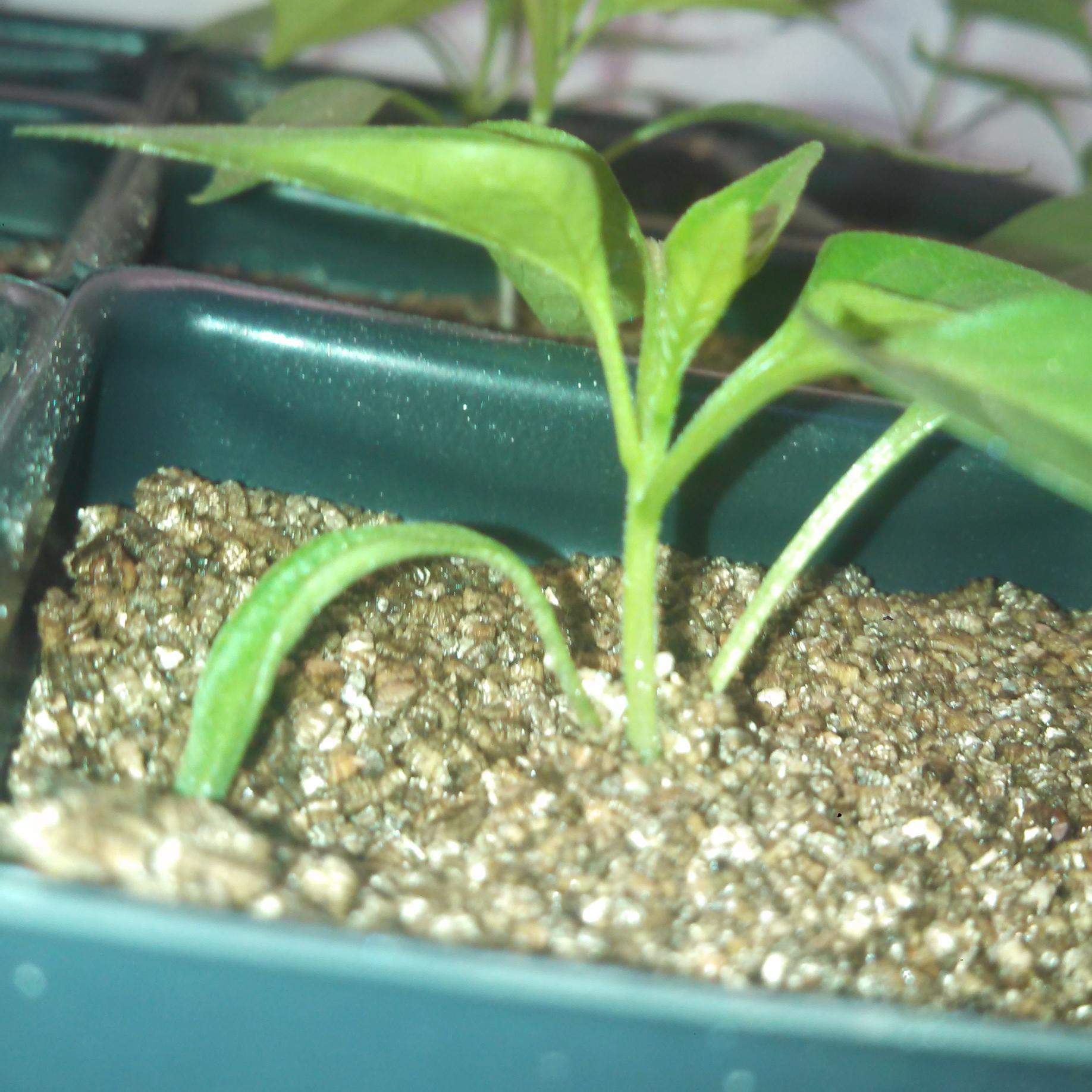 HydroProjects's profile picture. 