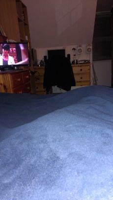 traceya832's profile picture. 