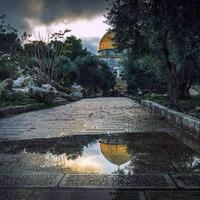 سامر جاد الحق (@samirjadalhaq) Twitter profile photo