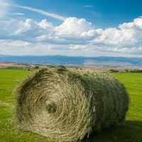COMET-Farm Tool (@cometfarm) 's Twitter Profile