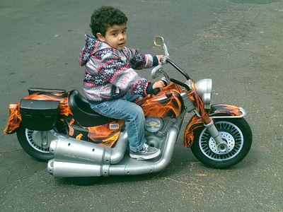 zepedachato17's profile picture. 