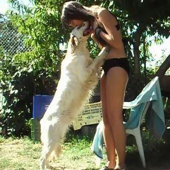 RachelBP26's profile picture. Enfermera. 👩‍⚕️

Ningún tonto nos quejamos de serlo, eso es porque no nos va mal.💃
TdM