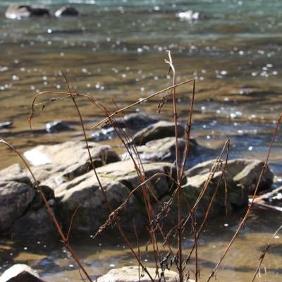 540photos's profile picture. 