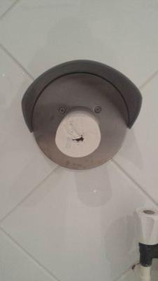 Iguanito's profile picture. 