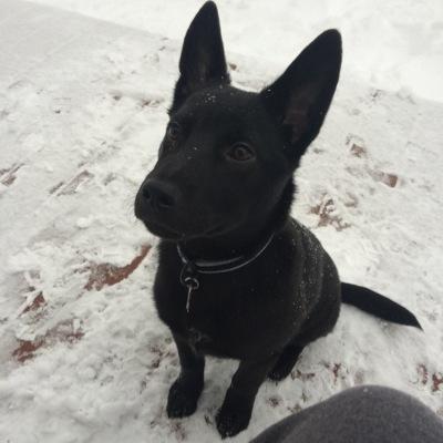 YOU DARE NOT FOLLOW ME!?