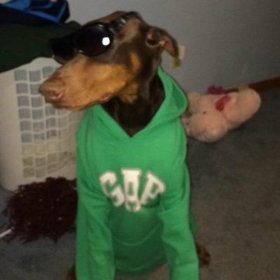 Big T's‼️#TommieTeam‼️ *woof #Krew *woof You can catch me in the dog house!