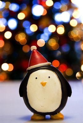 Takipci00000's profile picture. Karsilikli takip yapilir