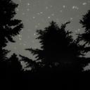 Vanessa Marsh - @vanessasmarsh - Twitter