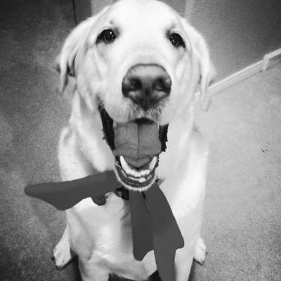 imthedogjake Profile Picture