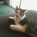 patsy noonan - @patsynoonan64 - Twitter