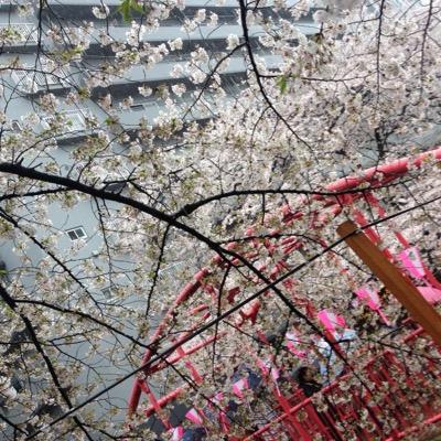 私は単純だよ。