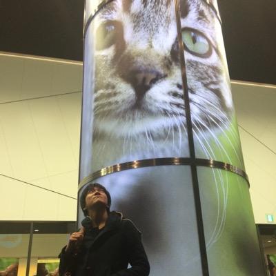 ギター弾きながら野良猫の写真を撮る人。 作詞、作曲、編曲、麺類食べ歩きなども。 ギターレッスン、オンラインギターREC承ります。コメントやDMにてご相談下さい。