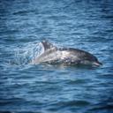 Maureen May - @mozmay - Twitter