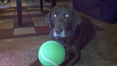 Jhic709365's profile picture. Son, Brother, Army Vet, Husband, Father, Grandfather, Friend, CUBS, BLACKHAWKS, BEARS FAN 2017 Wendlestedt Ump School Grad. IHSA BB Umpire. Retired FF/PM