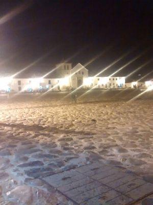 toroclaroangel's profile picture. 