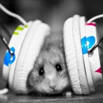 Bruh2479's profile picture. well i live in ohio im a person and thats about it right?