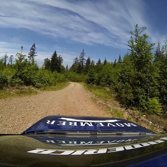 rallycar114's profile picture. 