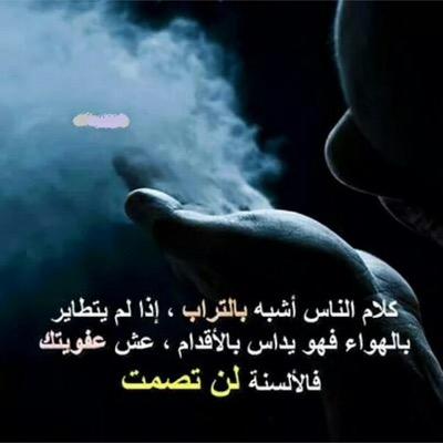 amonee63's profile picture. 