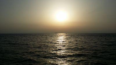 yasu8316hiro's profile picture. 知多半島でメバリング、エギングやってます。