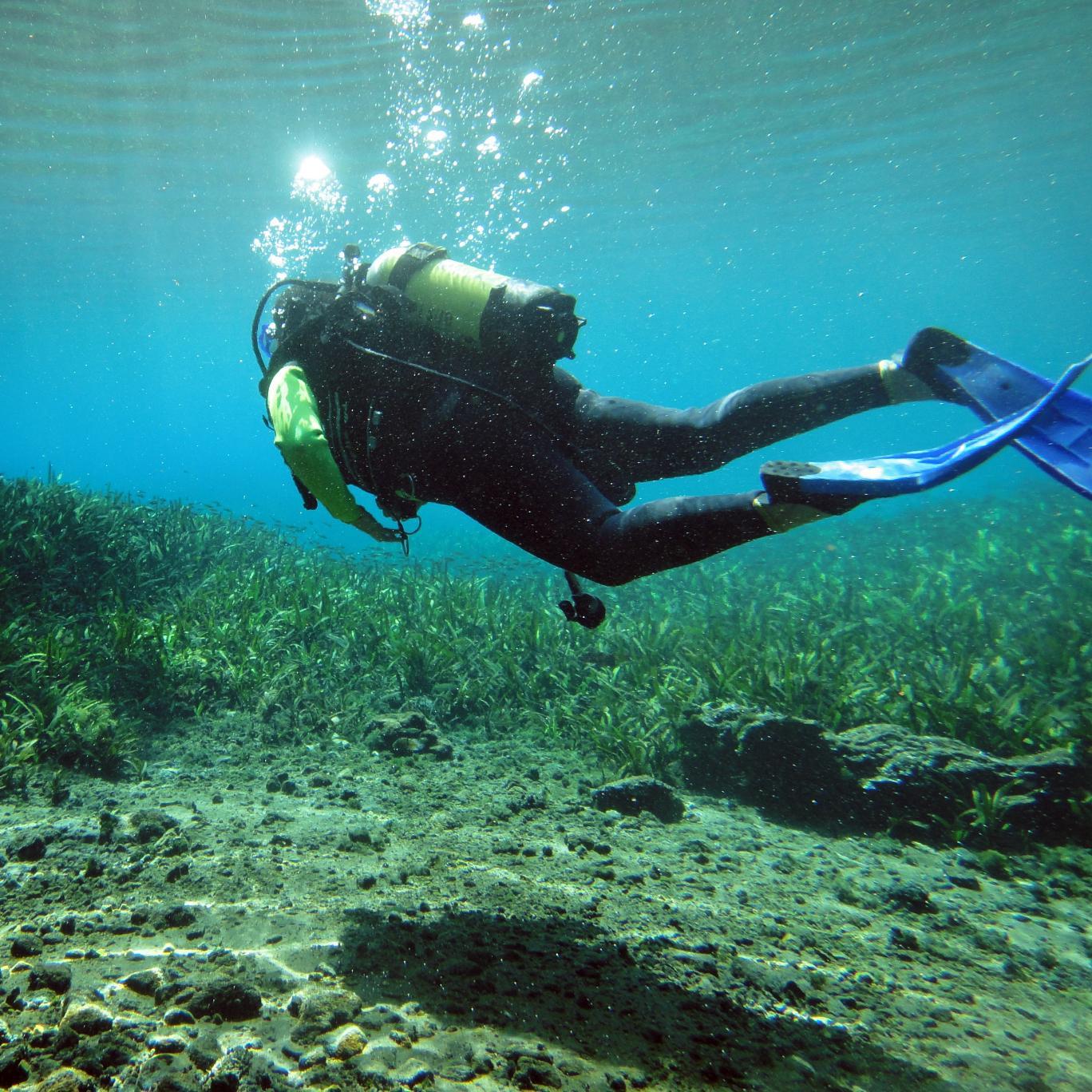 buceolasestacas's profile picture. 