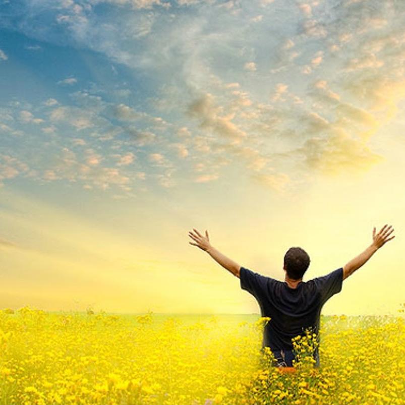 Marcos 16:15:   Ide por todo o mundo, e pregai o evangelho a toda criatura.