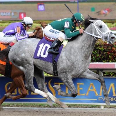 Hípicos de Venezuela. Venezuelans horsemens, our target: cross the wire up in the world's best tracks