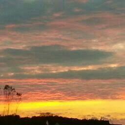 GrzesikSandy's profile picture. 