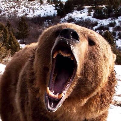 leclercgabriel3's profile picture. 