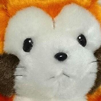 _eil_A_llet's profile picture. 弓中心に雑多なことをつぶやく(はずだった)