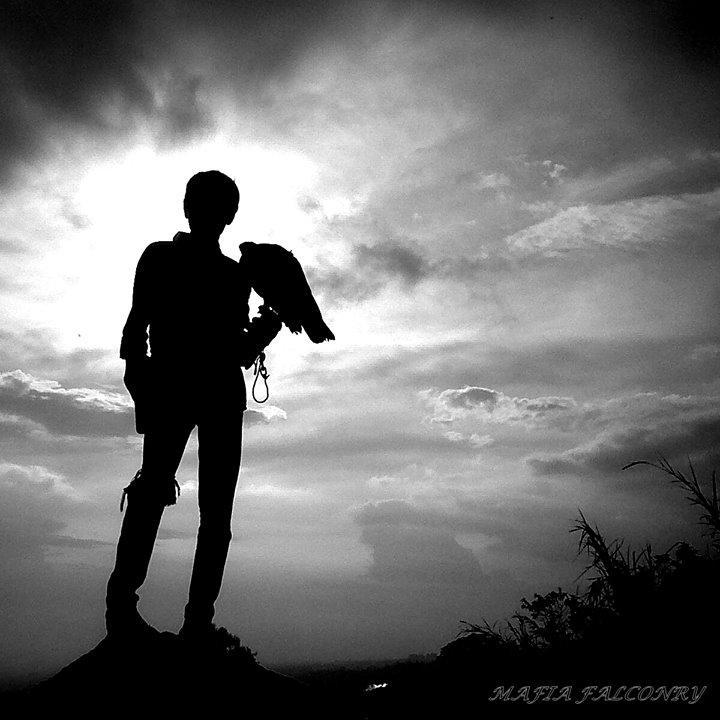 Arifwan H.U