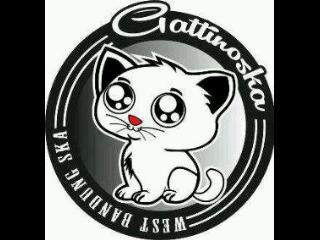 GATTINO FAMS