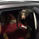 Michael Blum - @blumnatti - Twitter