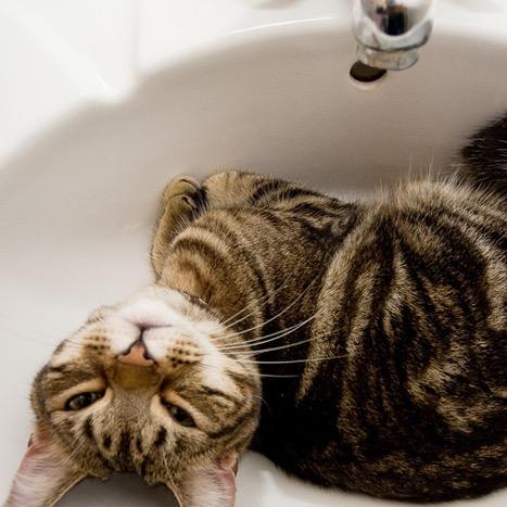 2017sakumar's profile picture. 