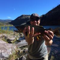 Greg Eynon (@vin48greg) 's Twitter Profile