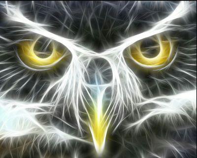 Sieze_What's profile picture. 