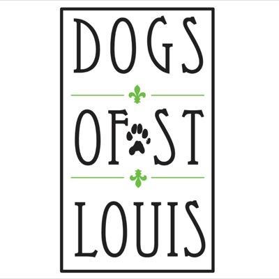 Follow us on IG @dogsofstlouis • Tag us in your photos