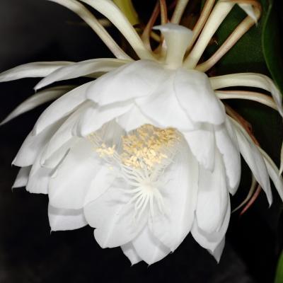 槙村　瞭 (Ryo Makimura)さんのプロフィール画像